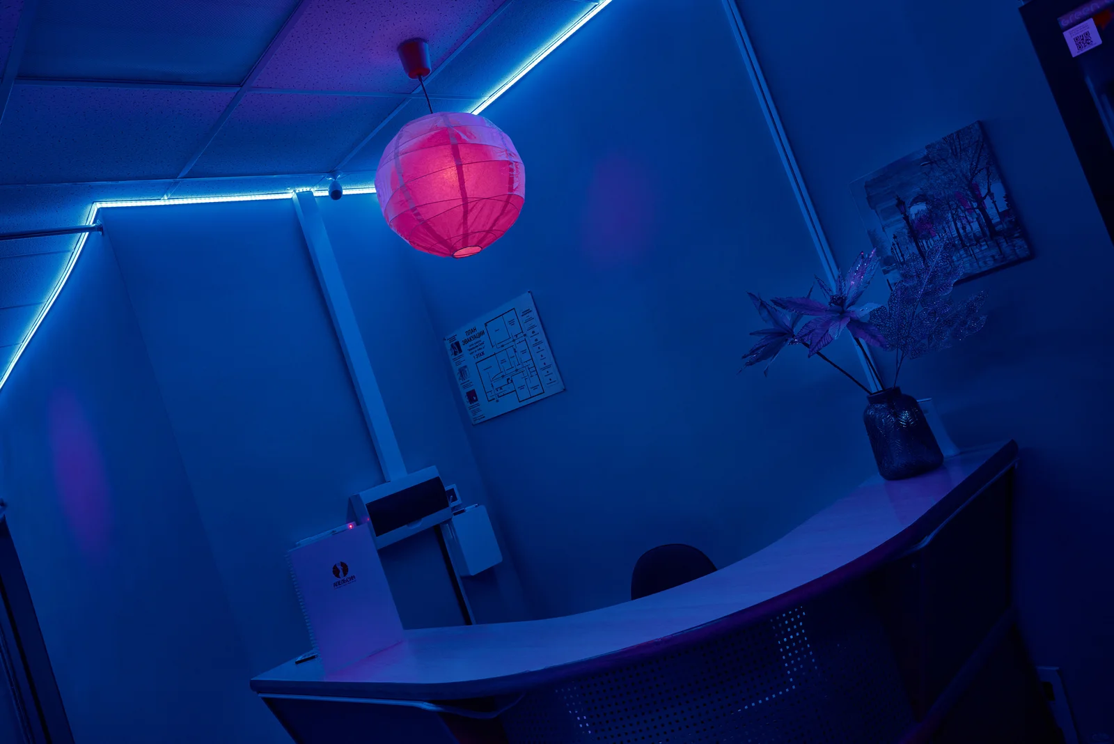 Апельсин Релакс — фото 17