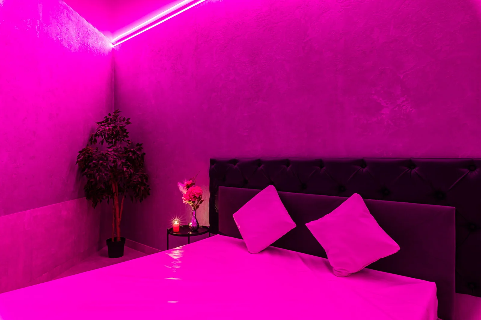 Джем — фото 48